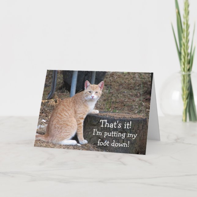 Orange Tabby Foutting Down Birthday Card Karte (Vorderseite)