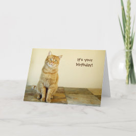 Orange Tabby-Geburtstags-Karte Karte