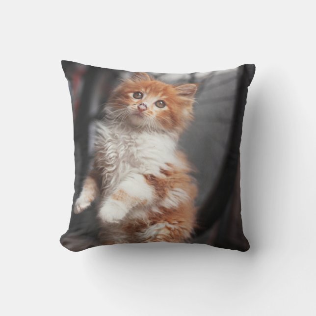 Orange Tabby-Kätzchen Kissen (Vorderseite)