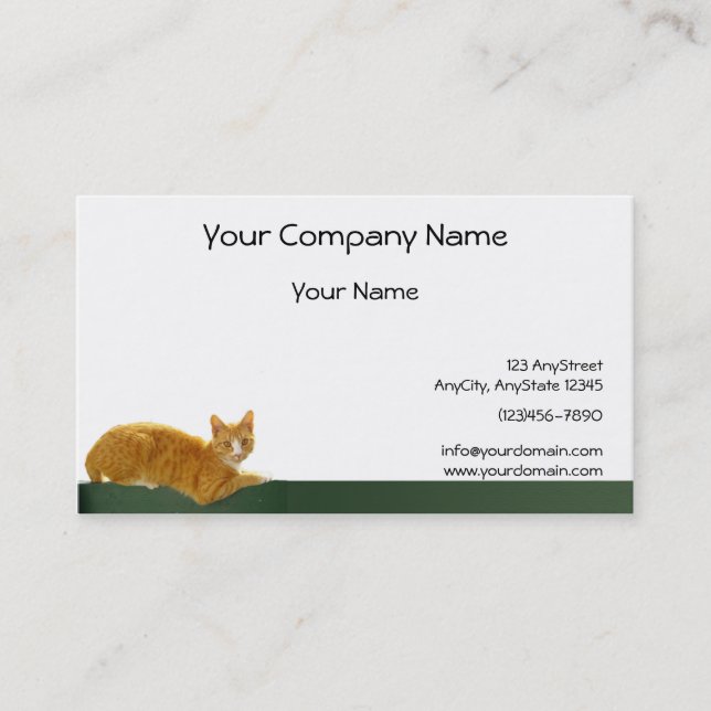 Orange Tabby-Katze auf grünem Zaun Visitenkarte (Vorderseite)