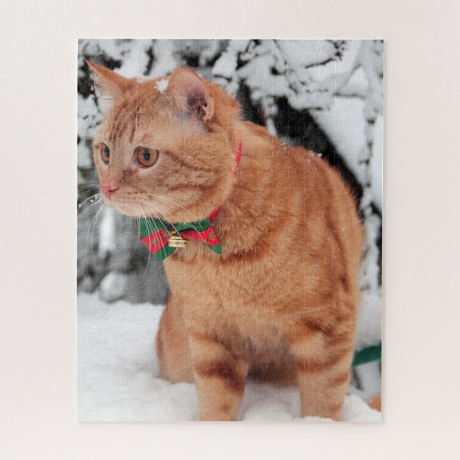 Orange Tabby Katze im Schnee (Vertikal)
