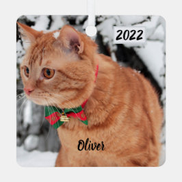 Orange Tabby Katze im Schnee Ornament Aus Metall