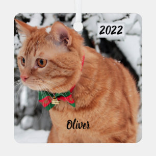 Orange Tabby Katze im Schnee Ornament Aus Metall