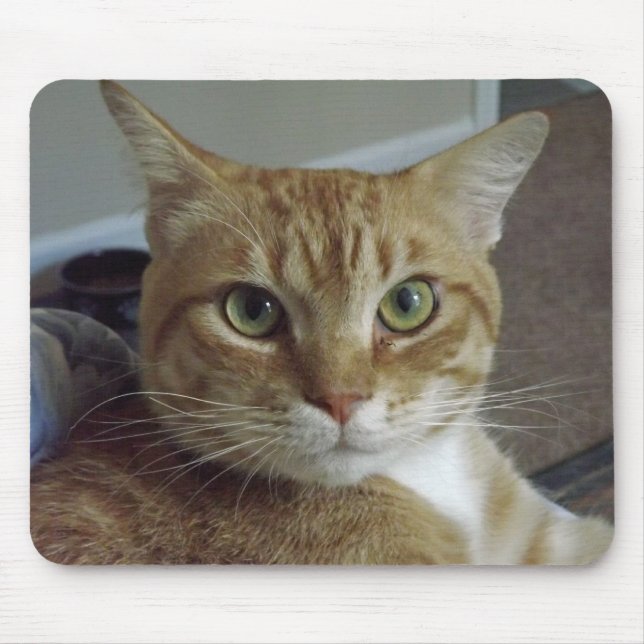 Orange Tabby-Katze Mousepad (Vorne)