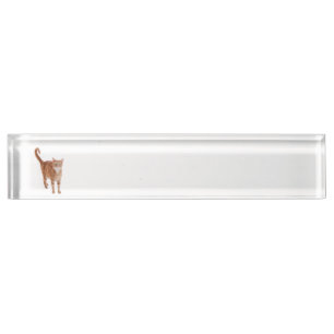 Orange Tabby-Katze Namensplakette