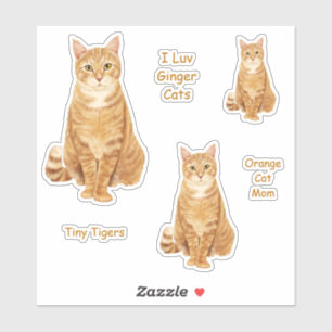 Orange Tabby-Katzen-Aufkleber-Set Aufkleber