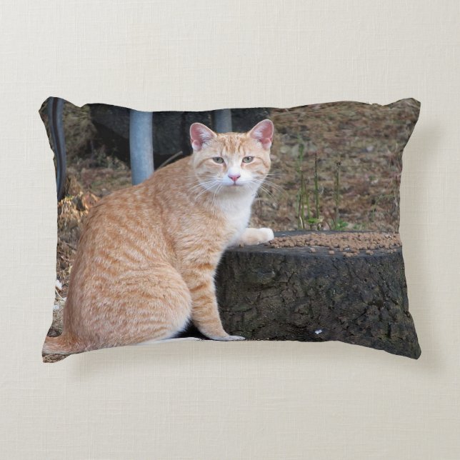 Orange Tabby-Katzen-Kissen Dekokissen (Vorderseite)
