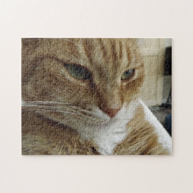 Orange Tabby-Katzen-Puzzle (Horizontal)
