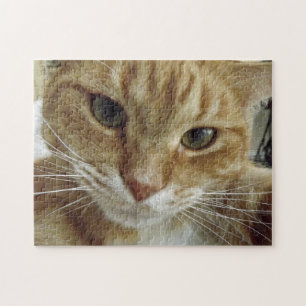 Orange Tabby-Katzen-Puzzle