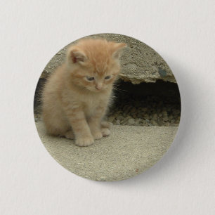 Orange Tabby Kitten Button