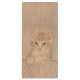 Orange Tabby Kitten Painting - Originelle Katze Ku Holz USB Stick (Rückseite (Vertikal))