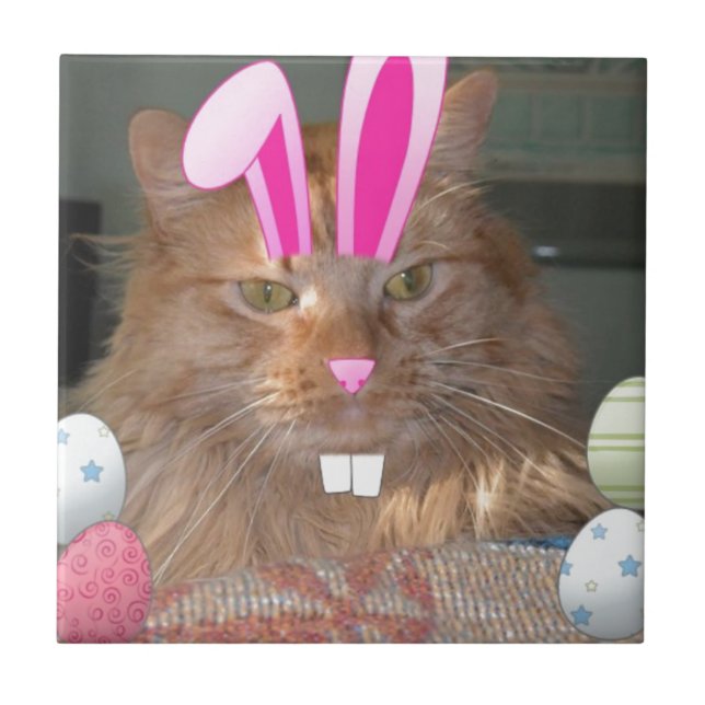 Orange Tabby Kitty Cat Fliese (Vorderseite)