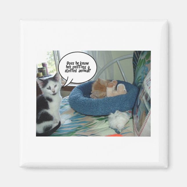 Orange Tabby Kitty Cat Magnet (Vorne)