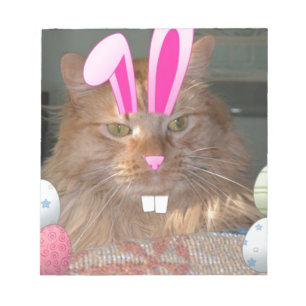 Orange Tabby Kitty Cat Notizblock