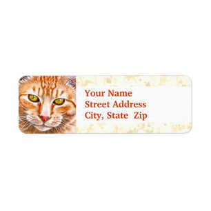 Orange Tabby-Malerei