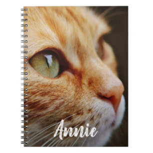 Orange Tabby mit den grünen Augen kundenspezifisch Notizblock