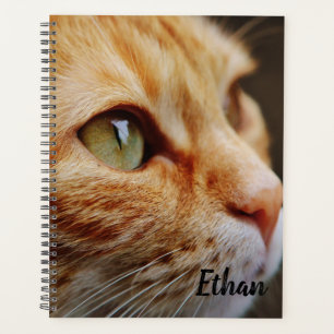 Orange Tabby mit grünen Augen nach Maß Planer