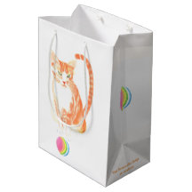 Orange Tabby