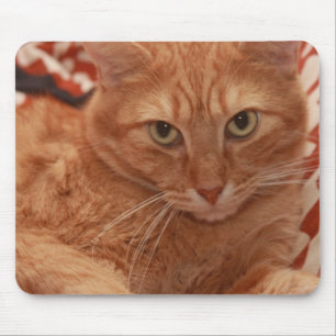 Orange Tabby Mousepad