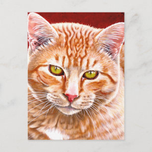 Orange Tabby Painting Postkarte