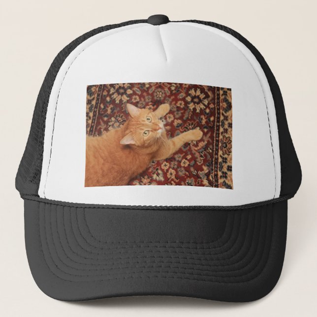 Orange Tabby Truckerkappe (Vorderseite)