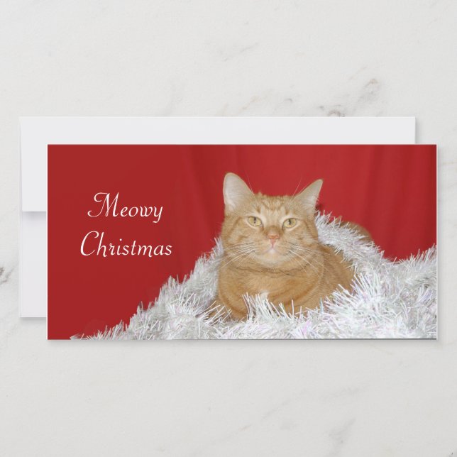 Orange Tabby Weihnachten (Vorderseite)