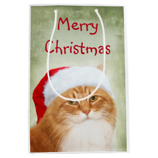 Orange Tabby Weihnachtsmann Mittlere Geschenktüte