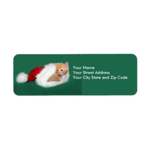 Orange Tabby Weihnachtsmannmütze