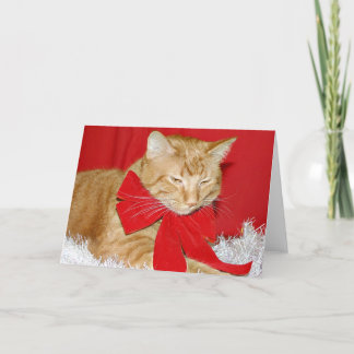 Orange Tabbykatze im Bogen Feiertagskarte
