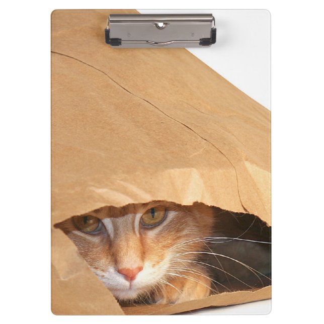 Orange Tabbykatze in der Papiertüte Klemmbrett (Vorderseite)