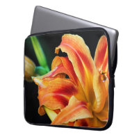 Orange Tageslilien-Blumen-nahes hohes