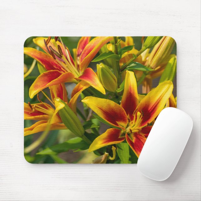Orange Taglilie Kanadische Blumenfotografie Mousepad (Mit Mouse)