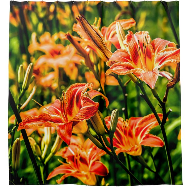 Orange Taglilien Blume Duschvorhang (Vorderseite)