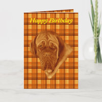 Orange Tartan French Bordeaux Dog, Geburtstagskart