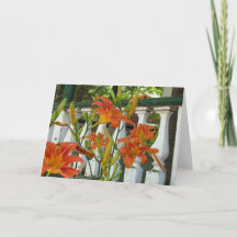 Orange Tiger Lilies - Martha's Vineyard Card