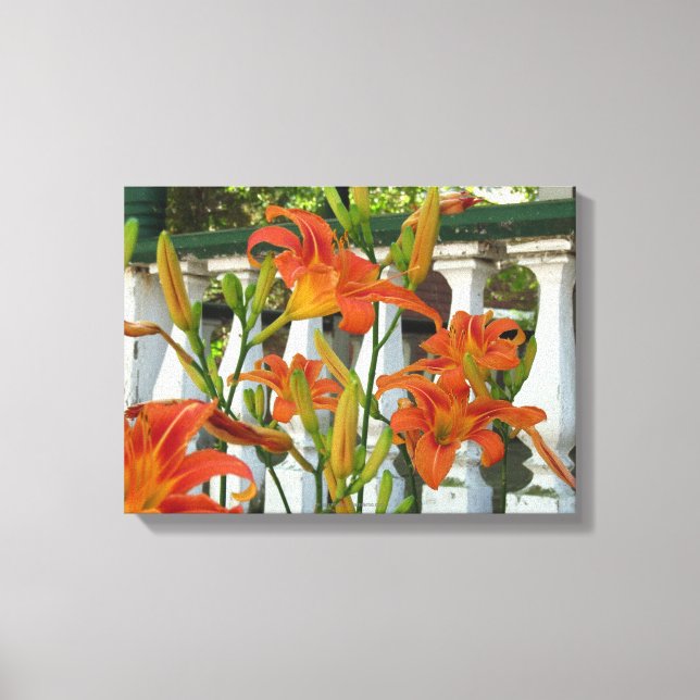 Orange Tiger Lilies - Martha's Vineyard Leinwanddruck (Vorderseite)