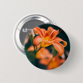 Orange Tiger Lily Blume Foto Button