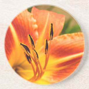 Orange Tiger Lily Getränkeuntersetzer