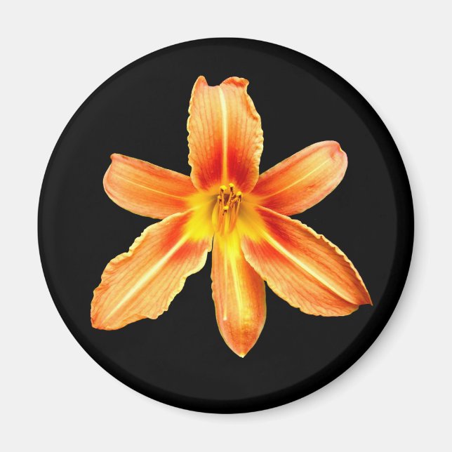 Orange Tiger Lily Magnet (Vorne)
