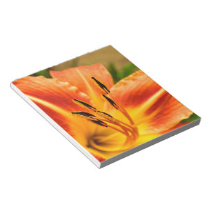 Orange Tiger Lily Notizblock