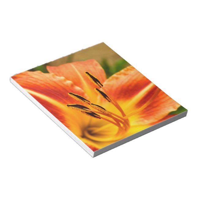 Orange Tiger Lily Notizblock (angewinkelt)