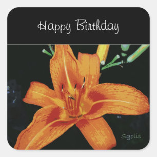 Orange Tiger Lily Sticker