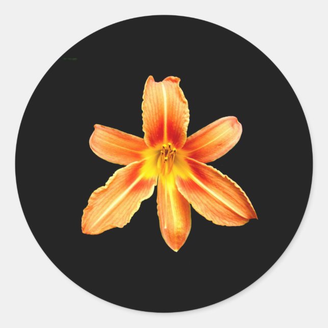 Orange Tiger Lily Stickers (Vorderseite)