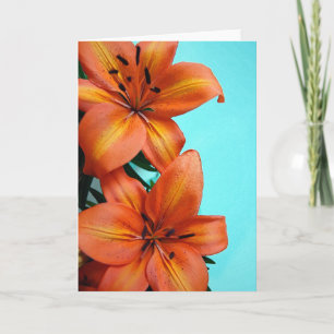 Orange Tigerlilie Blume Grußkarte Karte