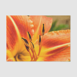 Orange Tigerlilie Seidenpapier