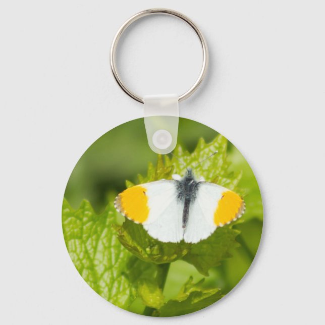 Orange-Tipp-Schmetterling Schlüsselanhänger (Vorderseite)