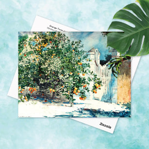 Orange Tree Gate Nassau Winslow Homer Postkarte