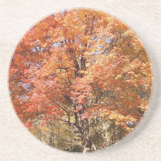 Orange Trees Getränkeuntersetzer (Vorne)