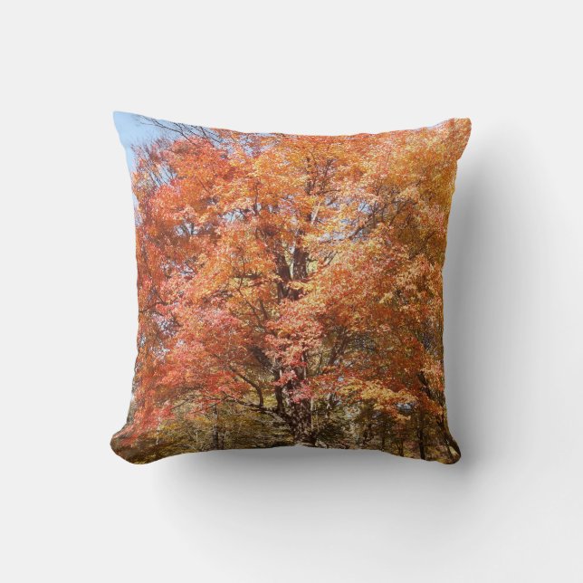 Orange Trees Kissen (Vorderseite)