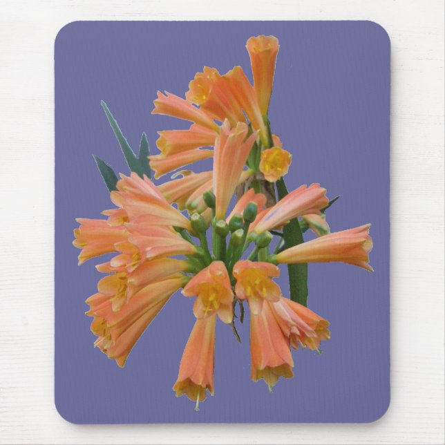 Orange Tropical Blume Mousepad (Vorne)